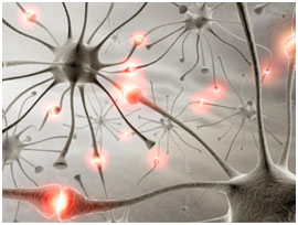 auroh homeopathy epilepsy